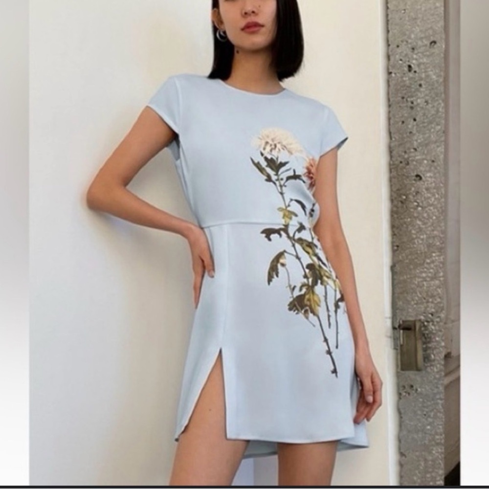 Aritiza Babaton Hamptons Floral Mini Dress